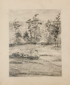 Чеботарёв Константин Константинович (1892-1974).Карабиха. Часть нижнего парка. 1950-е.