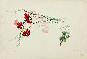 Зеленская Ирина Александровна (ХХ в.).Ягоды. 1953.