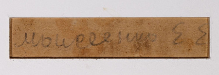 Моисеенко Евсей Евсеевич (1916-1988). Сарай. 1950-е - 1960-е.