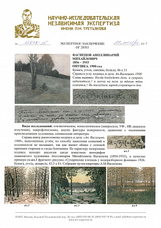 Васнецов Аполлинарий Михайлович (1856-1933).Опушка. 1900.