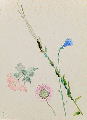 Ивановская Елизавета Андреевна (1910-2006). Гусеничка. 1977.