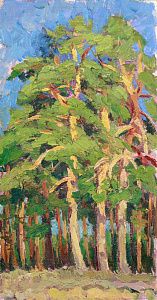 Кононов Владимир Гаврилович (1924-2006). Сосны. 1960-е.