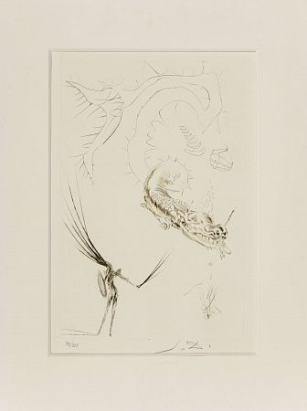 Сальвадор Дали (Salvador Dali) (1904-1989). "Тристан и дракон" из серии "Тристан и Изольда". 1970.