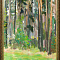 Иогансон Борис Владимирович (1893-1973). 
Красково. Сосны. 1963.