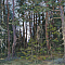 ж21-001-1-1-б.jpg
