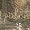 ж23-370-1-1-б.jpg