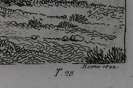 ж21-005-1-24-б.jpg