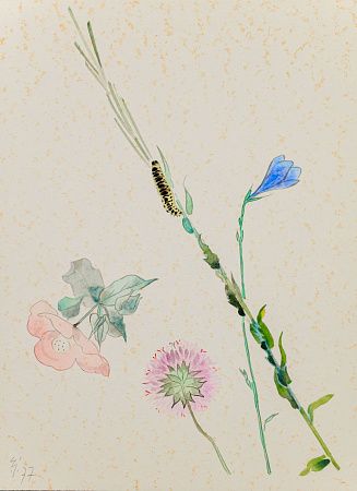 Ивановская Елизавета Андреевна (1910-2006). Гусеничка. 1977.