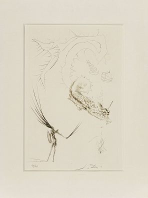 Сальвадор Дали (Salvador Dali) (1904-1989). "Тристан и дракон" из серии "Тристан и Изольда". 1970.