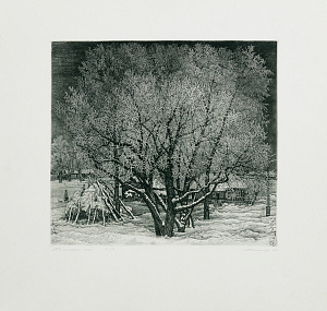 Никиреев Станислав Михайлович (1932-2007). "Подмосковный иней". 1987.