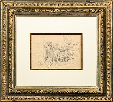 Шишкин Иван Иванович (1832-1898). Вывороченный пень с корнями. 1889-1890.