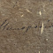 Лагорио Лев Феликсович (1827-1905). Малороссия. 1881.