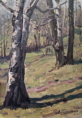 Борисенков Василий Павлович (р.1924). 
Стволы берез. Солнечный день. 1956.