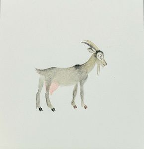 Корчемкин Лев Николаевич (1912-2001).
Козочка. Иллюстрация к сборнику "Чудесный короб". Козочка. Конец 1980-х.