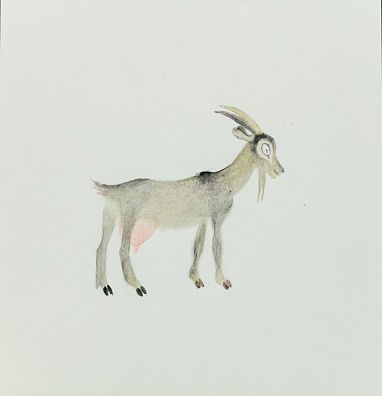 Корчемкин Лев Николаевич (1912-2001).
Козочка. Иллюстрация к сборнику "Чудесный короб". Козочка. Конец 1980-х.