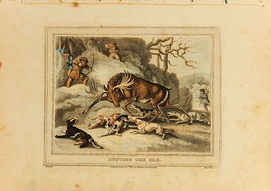 Уильям-Сэмюэл Хауитт (William-Samuel Howitt) (1756–1822); Метью Дюбург (Matthew Dubourg) (XIX век). Охота на лося. Лист из книги "Зарубежные виды спорта на открытом воздухе, рыболовство, спортивные анекдоты и т. д.,". 1813.