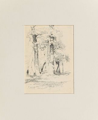 Никиреев Станислав Михайлович (1932-2007).  Дубовая роща. 1955.