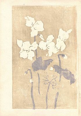 Бассинова Ирина Николаевна (1915-1982). Ирисы. 1960-е.