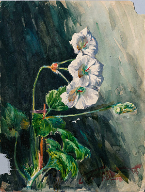 Гросицкий Сергей Николаевич (1876-1933). Петунии. 1922.