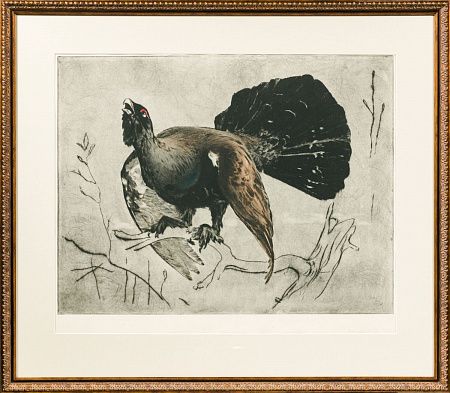 Завьялов Василий Васильевич (1906 - 1972). Глухарь. 1930-е.