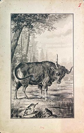 Денисов Николай Васильевич (1866 – после 1923). Бык. Конец XIX века.