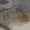 ж22-347-в.jpg