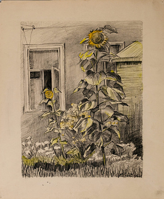 Чеботарёв Константин Константинович (1892-1974).
Подсолнухи у окна. 1951.
