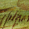 ж22-308-1-3-в.jpg