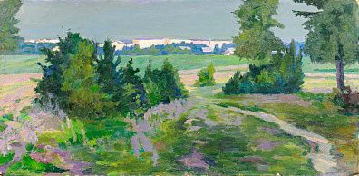 Морозов Николай Сидорович (1924-2012). Закат. 1970-е.