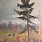 Нисский Георгий Григорьевич (1903-1987).Пейзаж с молодой ёлкой. 1957.