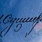 ж25-253-1-4-б.jpg