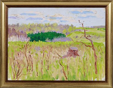 Фогель Борис Александрович (1872-1961). Пейзаж с полем. Первая четверть ХХ века.