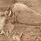 ж24-133-1-2-б.jpg