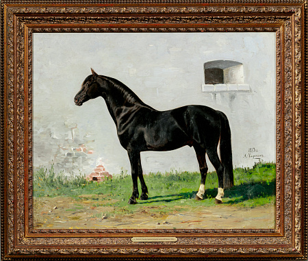 Чиркин Александр Дмитриевич (?-1897).Портрет вороного жеребца орловской породы". 1883.