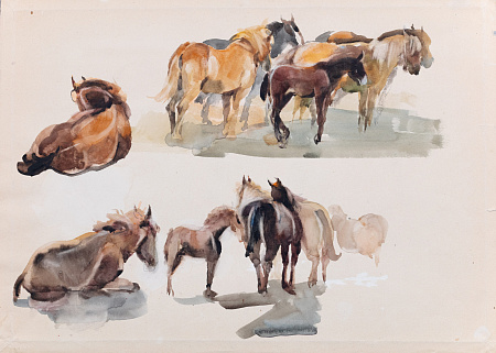 Мыслина Мария Владимировна (1901-1974). 
Лошади. Зарисовки (№1). 1960-е.