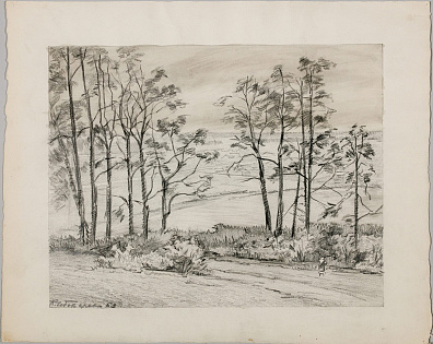 Чеботарёв Константин Константинович (1892-1974).
Пейзаж. 1953.