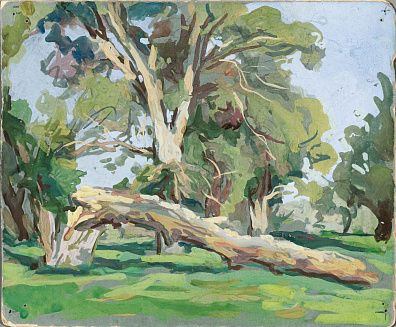 Соколов Илья Алексеевич (1890–1968). Сломанная ветла. 1950-е.