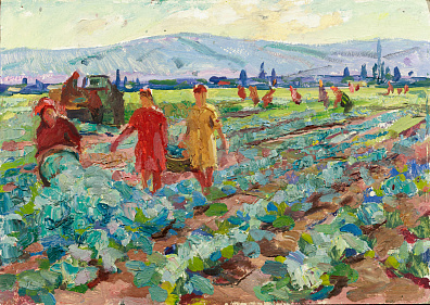 Неизвестный художник. Россия. (Середин И.?).Сбор капусты. 1950-е.