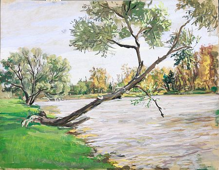 Соколов Илья Алексеевич (1890–1968). 
Дерево у реки. 1950-е.