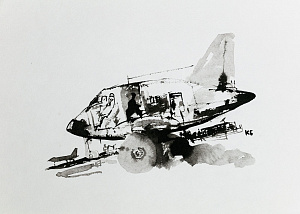 Батынков Константин Александрович (р.1959).
Самолет. 2010.