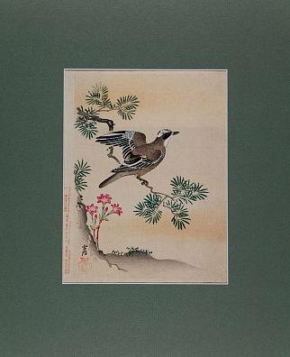Кано Цуненобу (Kano Tsunenobu) (1636-1713).
Сойка на ветке сосны. Конец XIX века.