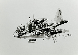 Батынков Константин Александрович (род. 1959).
Самолет. 2010.