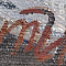 ж22-313-1-6-в.jpg